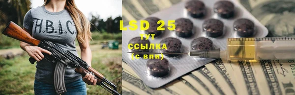 стаф Инсар