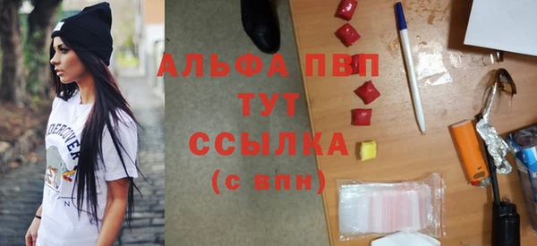 стаф Инсар
