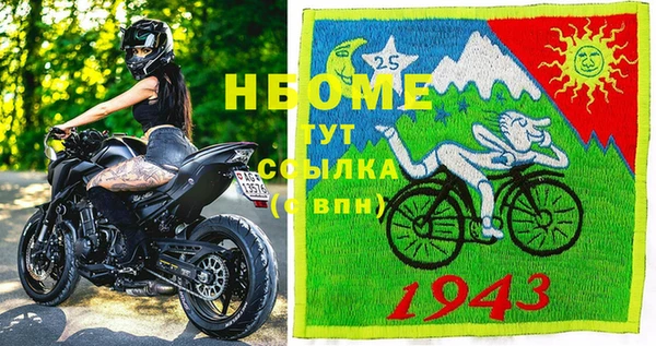 гашик Инта