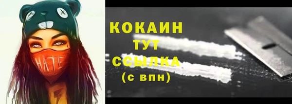 гашик Инта