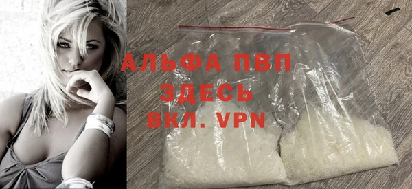 гашик Инта