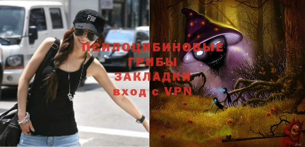 стаф Инсар