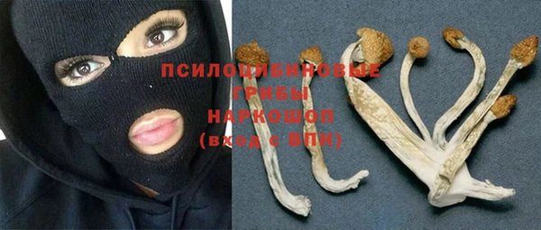 дурь Иннополис