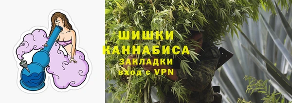 гашик Инта