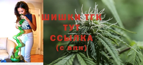гашик Инта