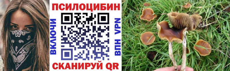 МЕГА ссылки  Камышлов  Галлюциногенные грибы GOLDEN TEACHER 