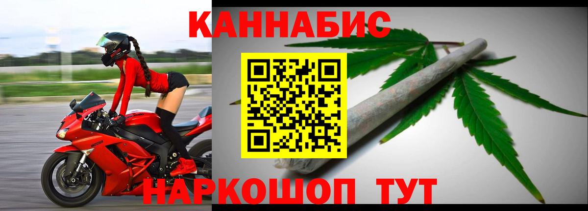 Камышлов  МАРИХУАНА Ganja  Вход с VPN  Канабис план  Конопля Bruce Banner  Бошки марихуана планчик 